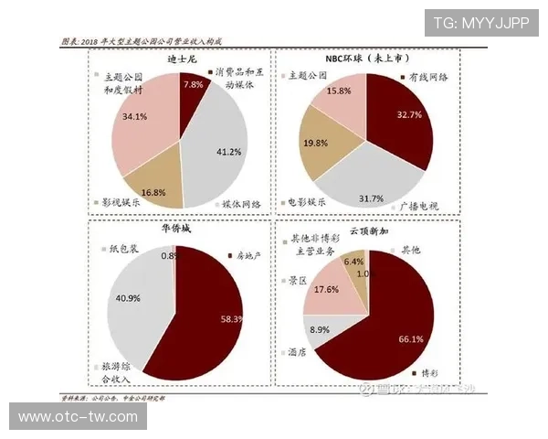 杭州排球队在杯赛中的团队协作表现分析与启示